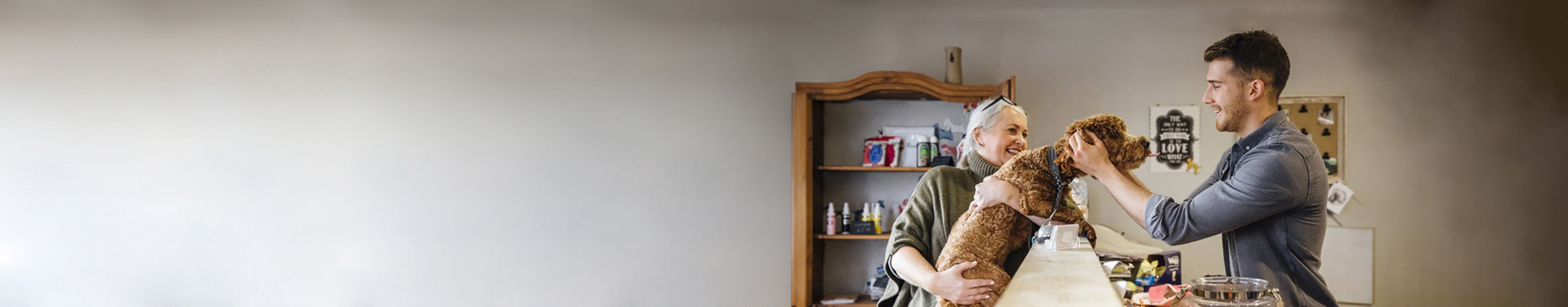 Business Insurance for pet sitters and pet carers QBE AU